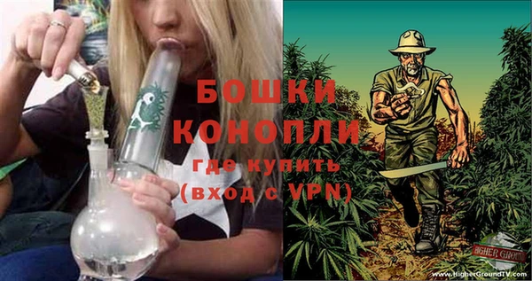 прущие грибы Арсеньев