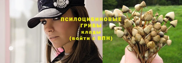 бошки Армянск
