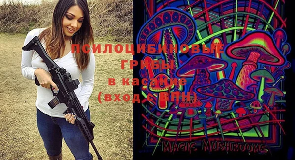 прущие грибы Арсеньев