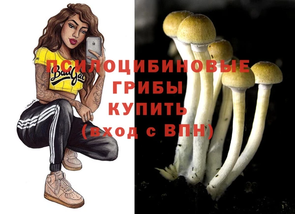 прущие грибы Арсеньев