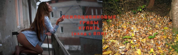бошки Армянск
