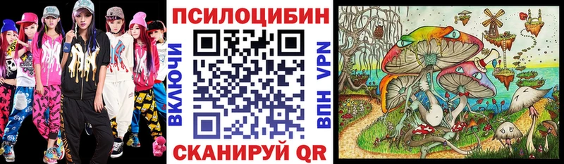 купить наркотик  omg рабочий сайт  Псилоцибиновые грибы мицелий  Очёр 